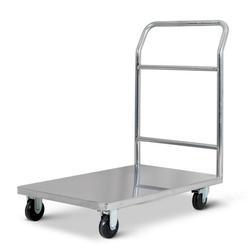 SS Platform Trolley
